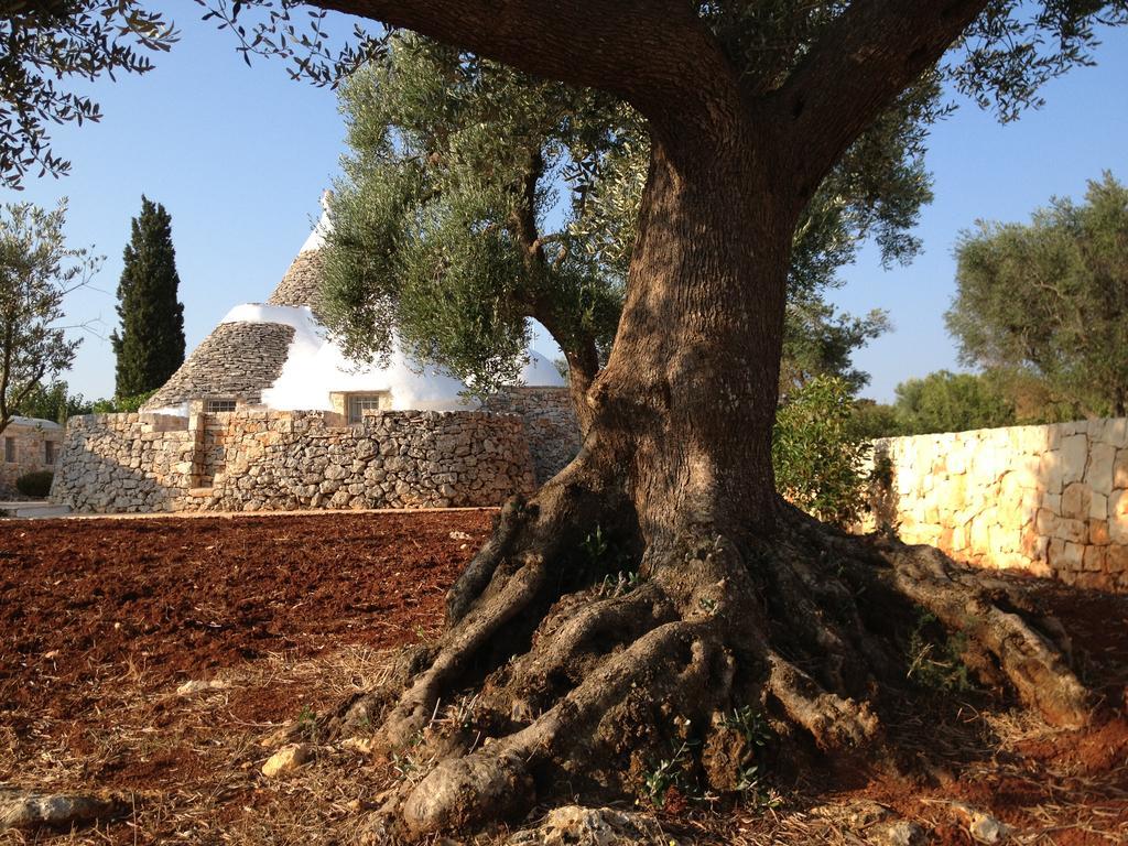 I Trulli Di Alice Villa Ceglie Messapica Exteriör bild